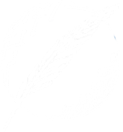 Departamento de Ciencias e Ingeniería de la Computación